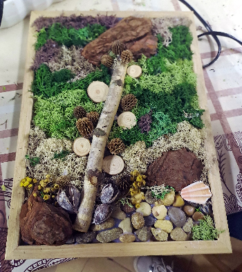 Machové obrazy v ráme